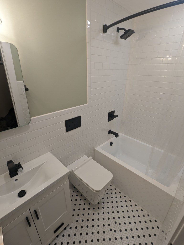 Guest bath remodel